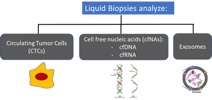 Liquid biopsy analysis of circulating nucleic acids