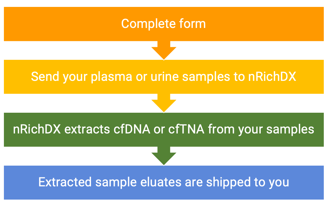 nRichDX extraction service workflow