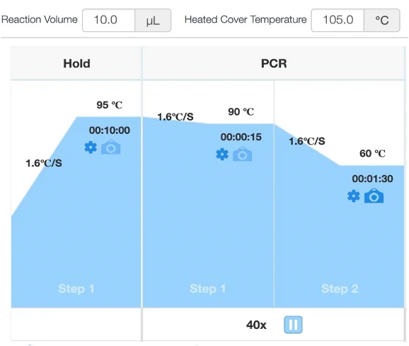 cfDNA Reference Standard PCR assay cycling conditions